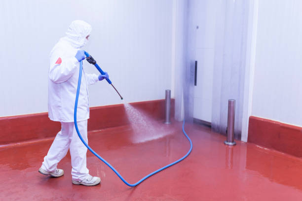 Best Rust Removal  in Ancient Oaks, PA